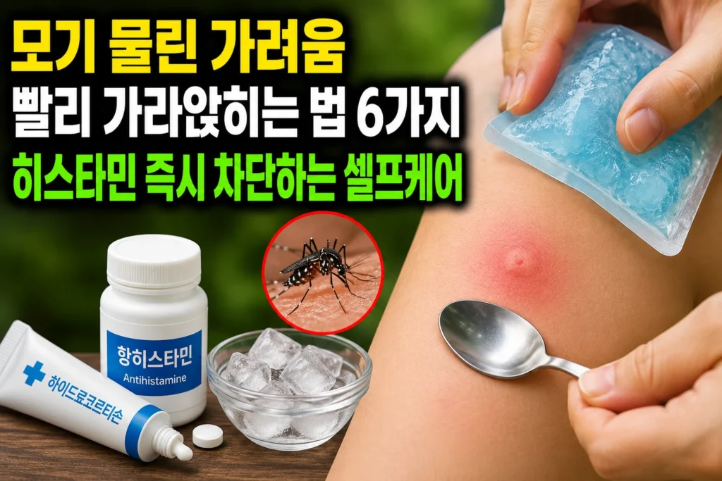모기 물린 가려움 빨리 가라앉히는 법 6가지 — 냉찜질·항히스타민·하이드로코르티손·뜨거운 숟가락으로 히스타민 즉시 차단하는 셀프케어