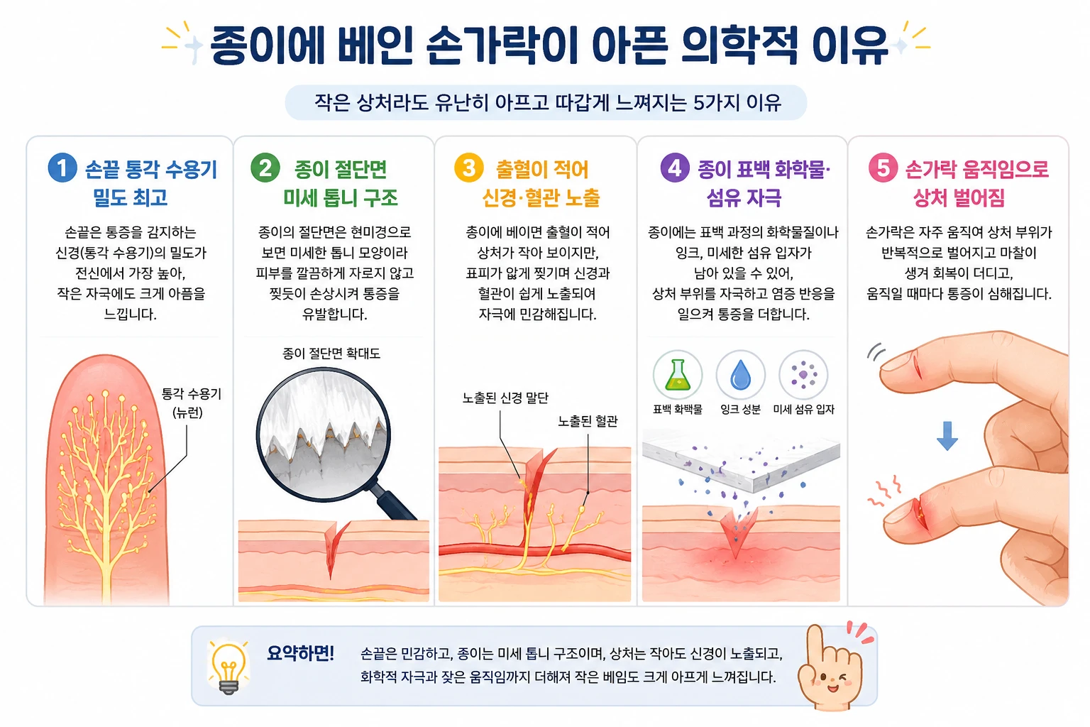 종이베임 통증 5가지 의학적 이유 인포그래픽 — 통각 수용기 밀도, 미세 톱니 절단면, 신경 노출, 화학물 자극, 손가락 움직임