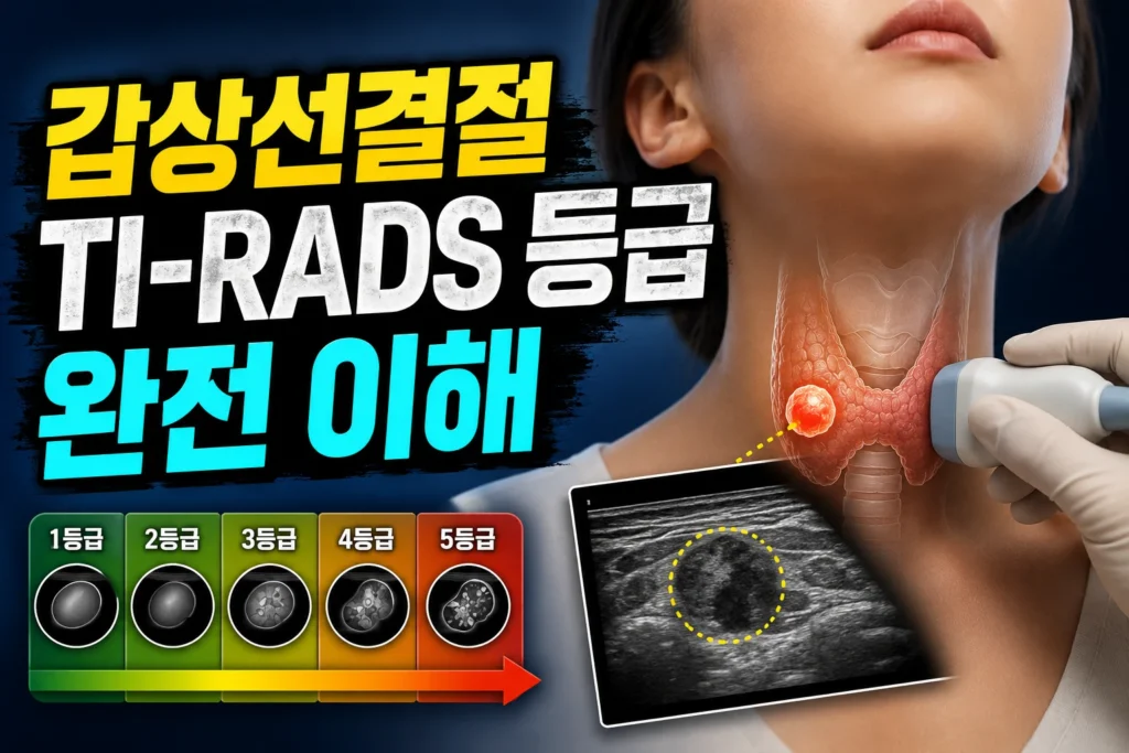 갑상선결절 TI-RADS 등급 완전 이해 — 초음파 5등급 분류로 세침검사 필요성 판단하는 기준